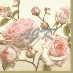 PAW Serwetka Lunch Beauty...