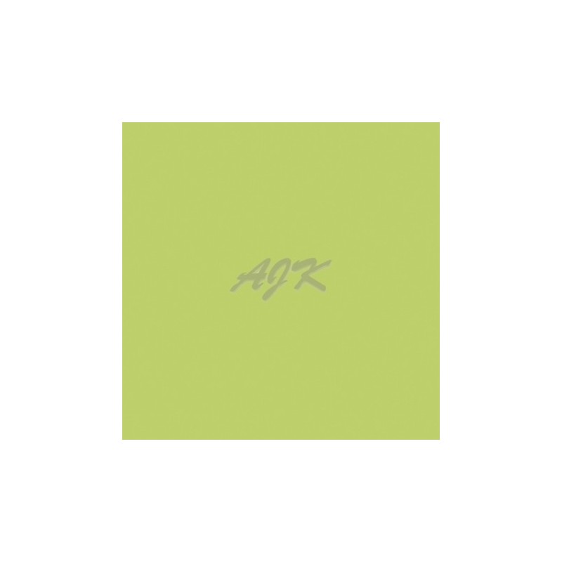 PAW Serwetka flizelinowa airlaid 40x40 KIWI \'50