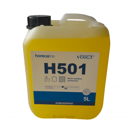 H5015 Skoncentrowany preparat do powierzchni   5L